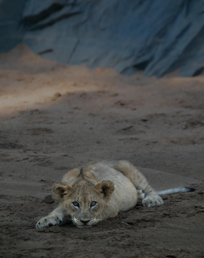 Rhino Sands Safari Camp Manyoni Private Game Reserve 外观 照片